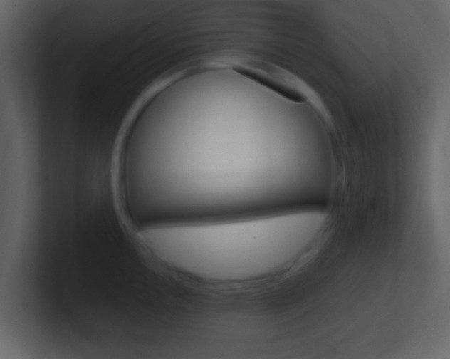 X0000101461146200807071127