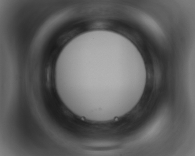 X0000101461150200807071127