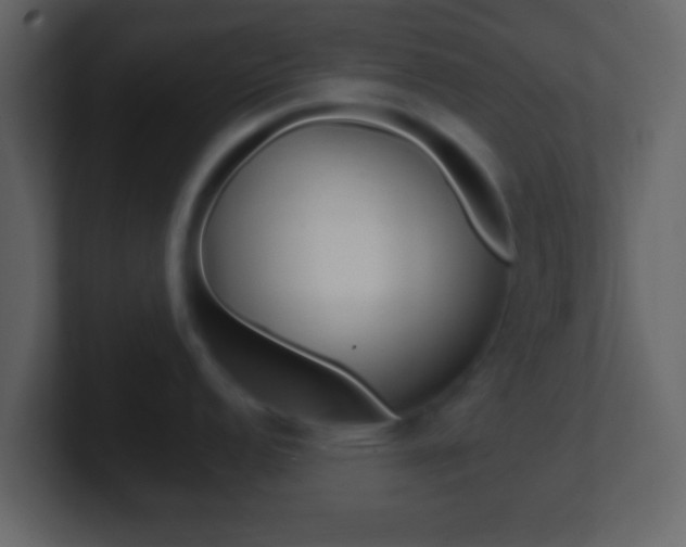 X0000101461152200807071127