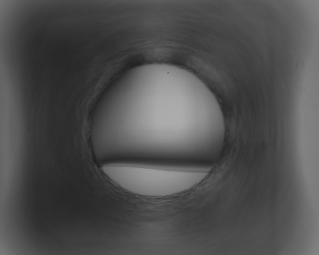 X0000101461153200807071126