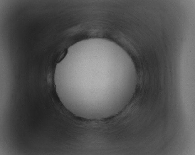 X0000101461154200807071126