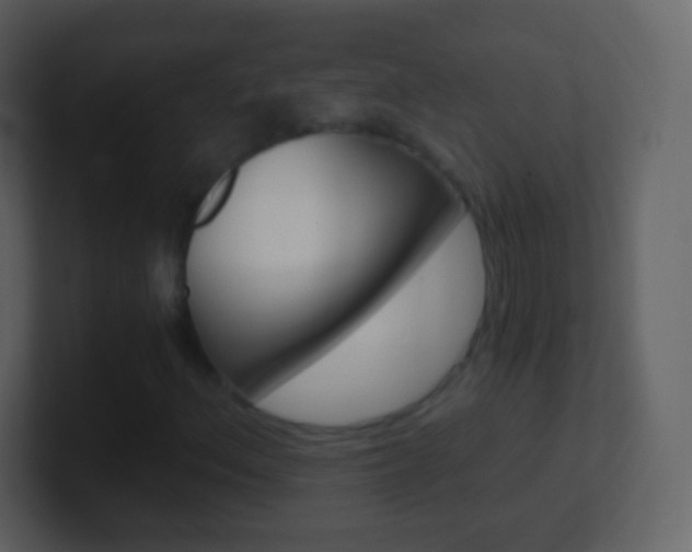 X0000101461156200807071126