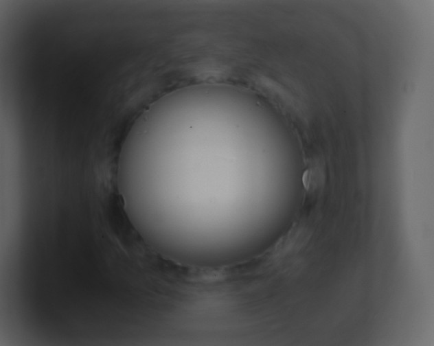 X0000101461157200807071126