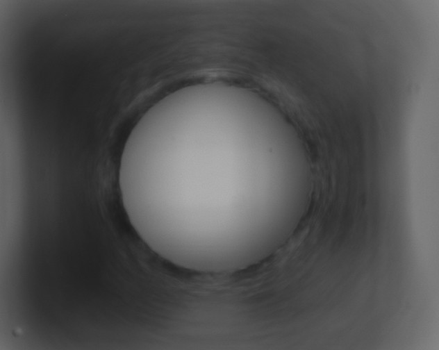 X0000101461158200807071126