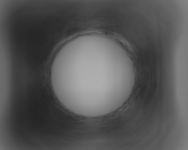X0000101461160200807071126