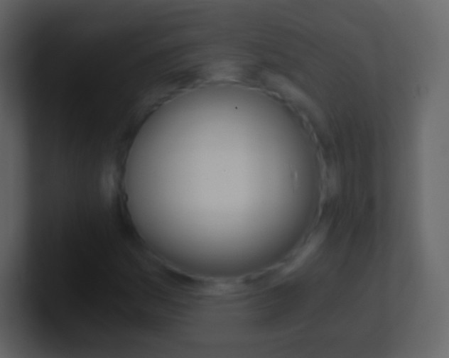 X0000101461161200807071126