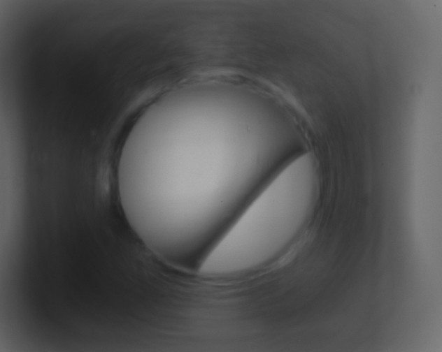 X0000101461165200807071126