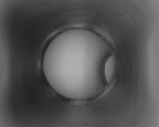 X0000101461166200807071126