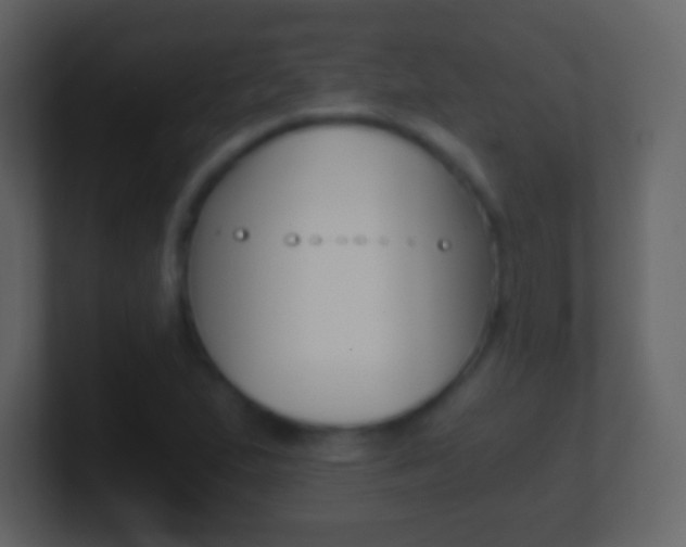 X0000101461167200807071126