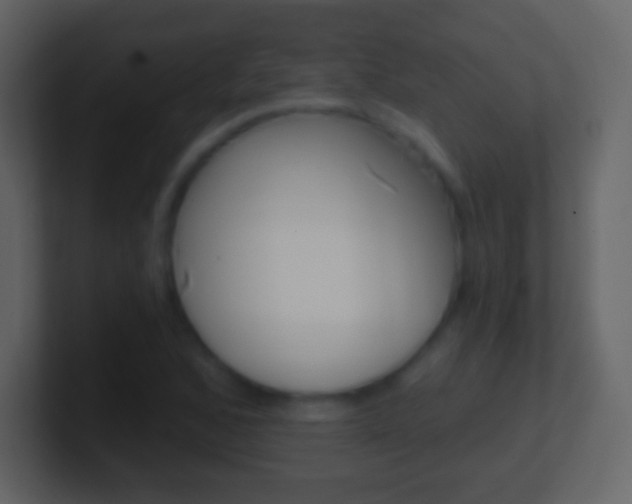 X0000101461168200807071126