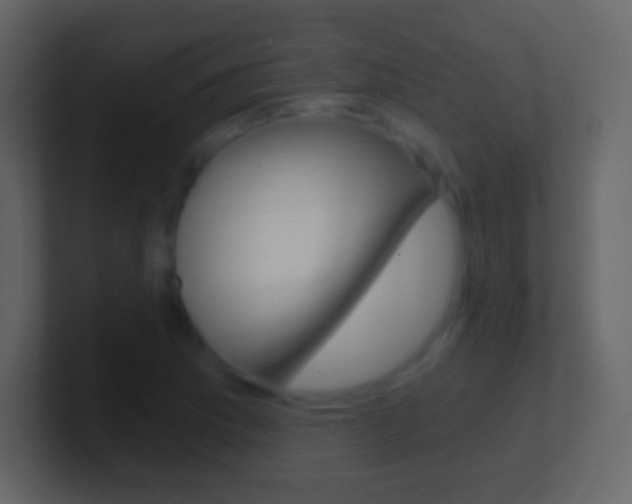 X0000101461169200807071126