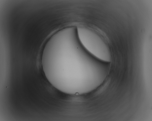 X0000101461170200807071126