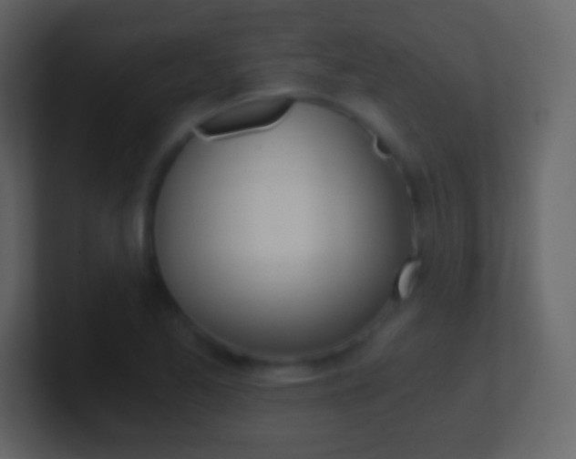 X0000101461173200807071126