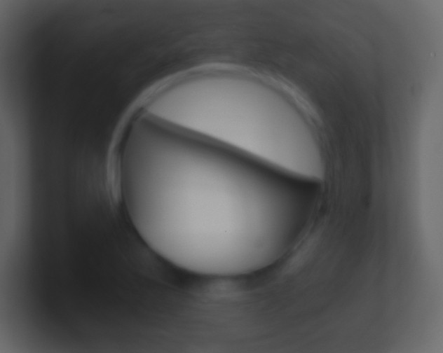 X0000101461175200807071126