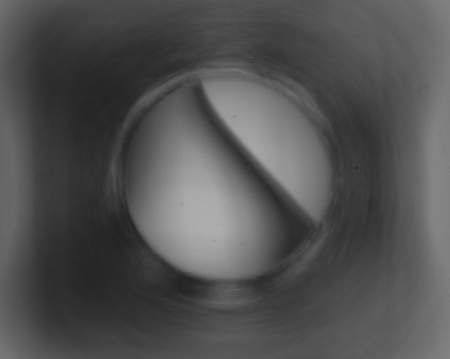 X0000101461176200807071126