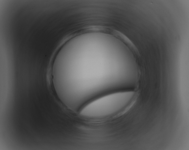 X0000101461178200807071126