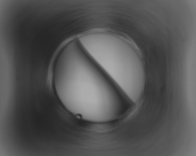 X0000101461179200807071126