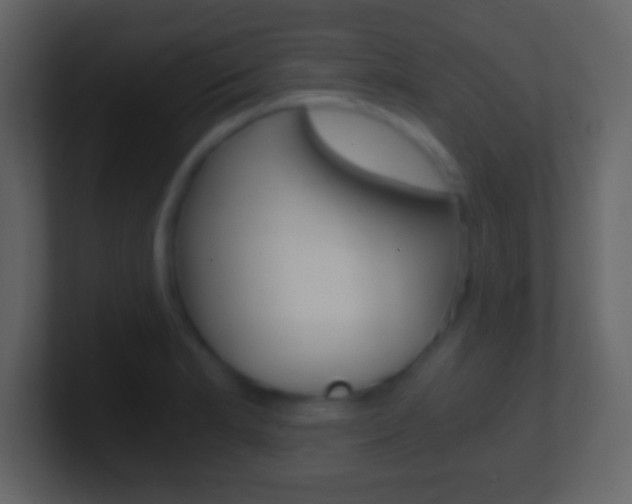 X0000101461181200807071126