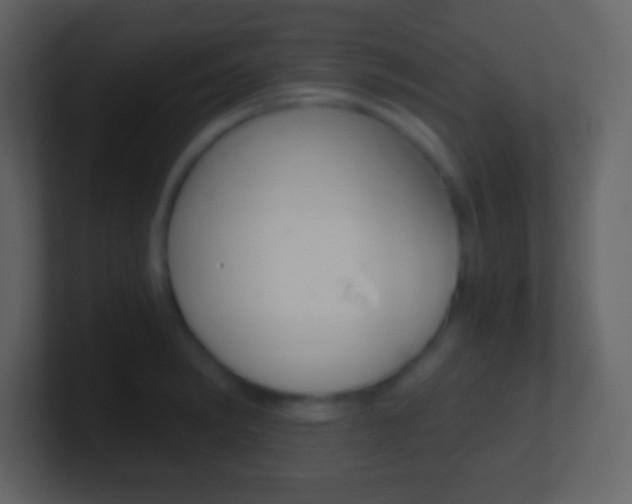 X0000101461182200807071126
