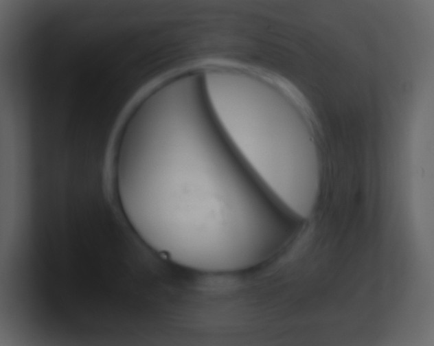 X0000101461183200807071126