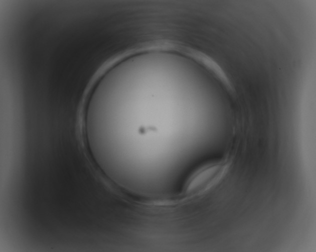 X0000101461184200807071126