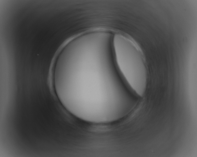 X0000101461187200807071126
