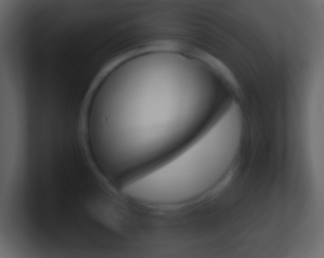 X0000101461192200807071125