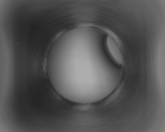 X0000101461193200807071125