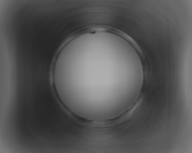 X0000101461194200807071125