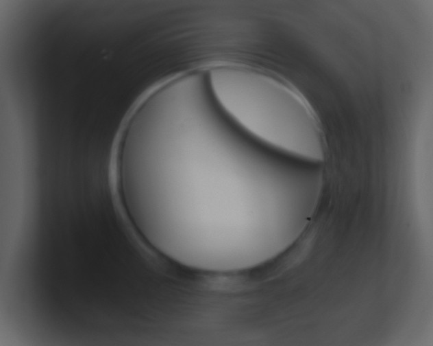 X0000101461195200807071125