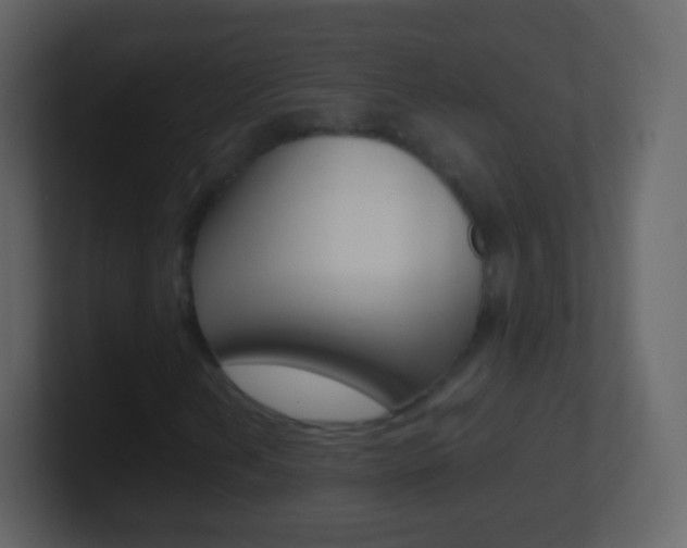 X0000101461202200807071125