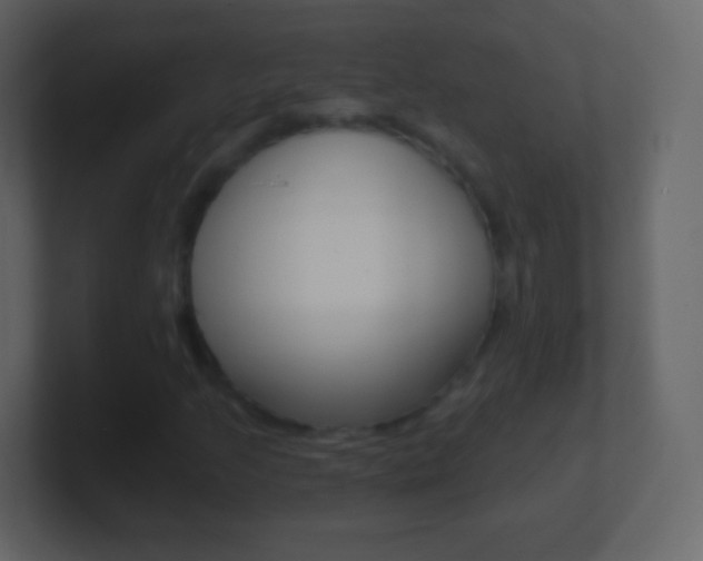 X0000101461205200807071125