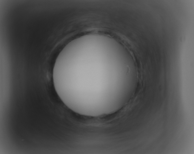 X0000101461206200807071125