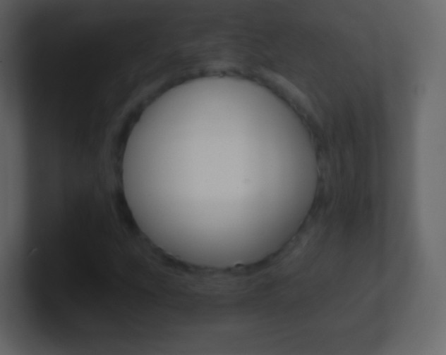 X0000101461207200807071125