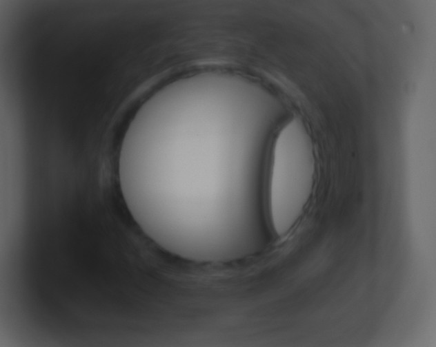 X0000101461208200807071125