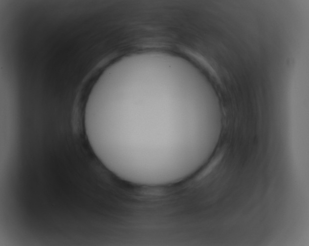 X0000101461211200807071125