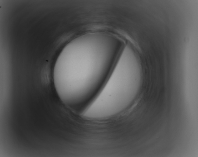 X0000101461213200807071125