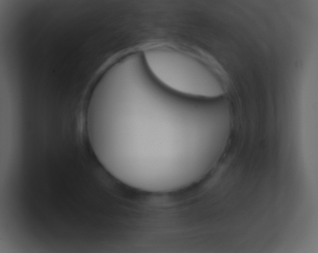 X0000101461220200807071125