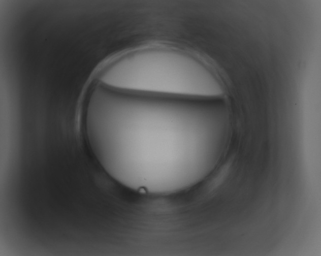 X0000101461222200807071125