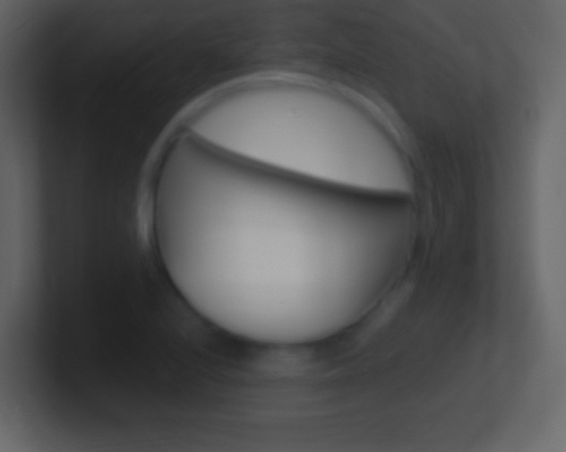X0000101461224200807071125