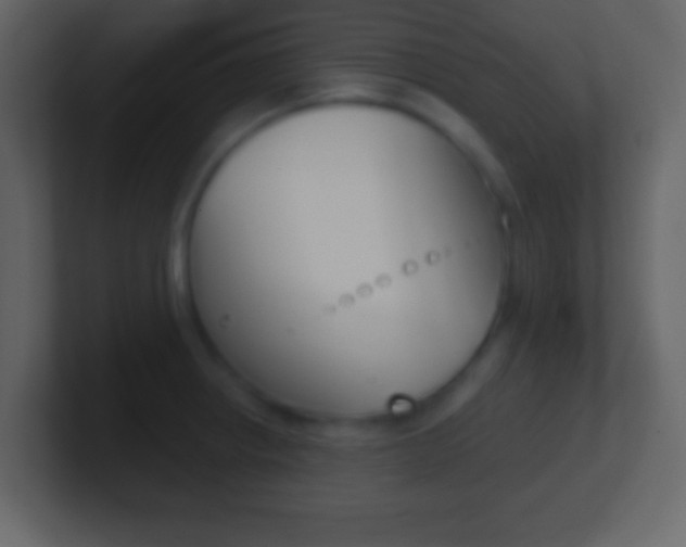 X0000101461234200807071125