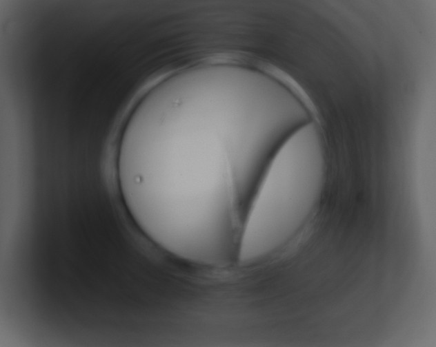 X0000101461235200807071125
