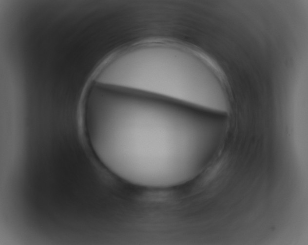 X0000101461237200807071125