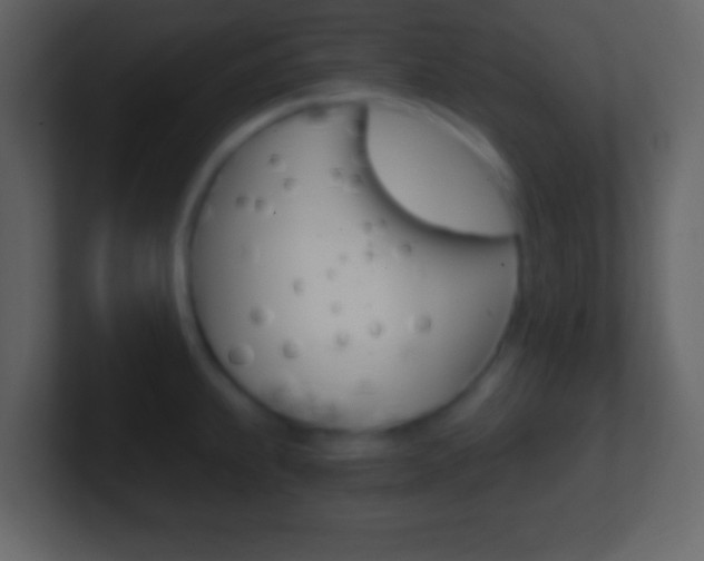 X0000101461239200807071125
