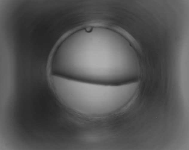 X0000101461240200807071125