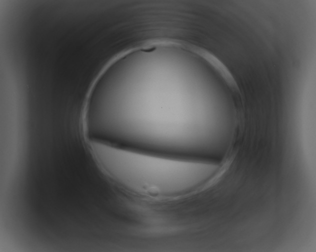 X0000101461244200807071125