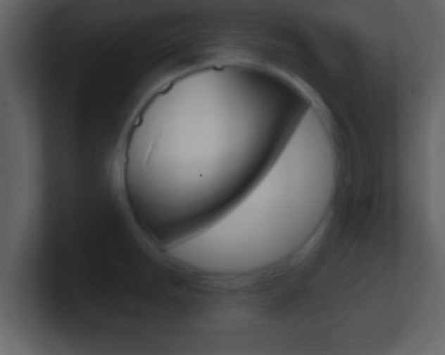 X0000101461246200807071125