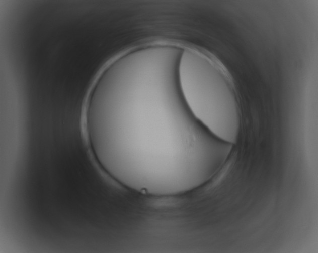 X0000101461247200807071125
