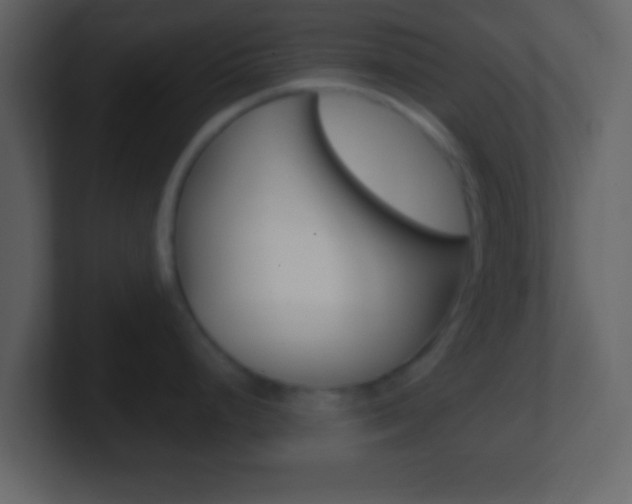 X0000101461248200807071125