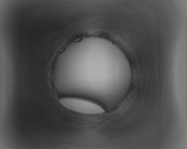X0000101461249200807071125